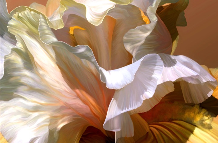 Iris